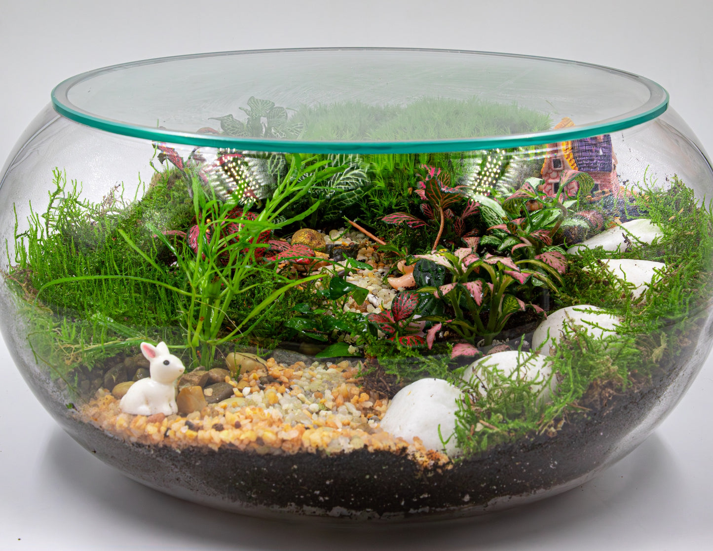 SECRET GARDEN TERRARIUM - TERRASCAPE | Online Terrarium Shop in DUBAI