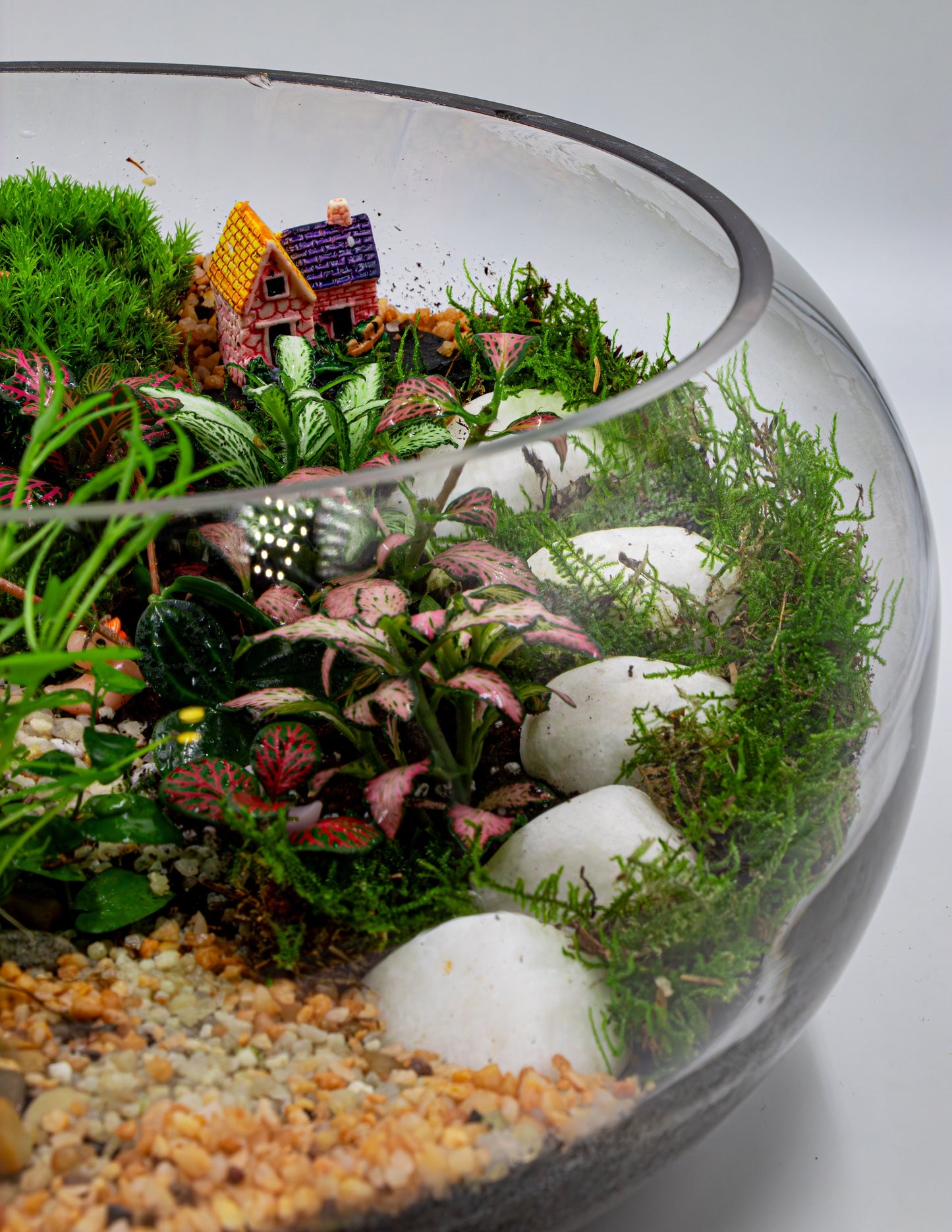 Terrarium with plants, rocks, and a small house | Online Terrarium Shop in DUBAI