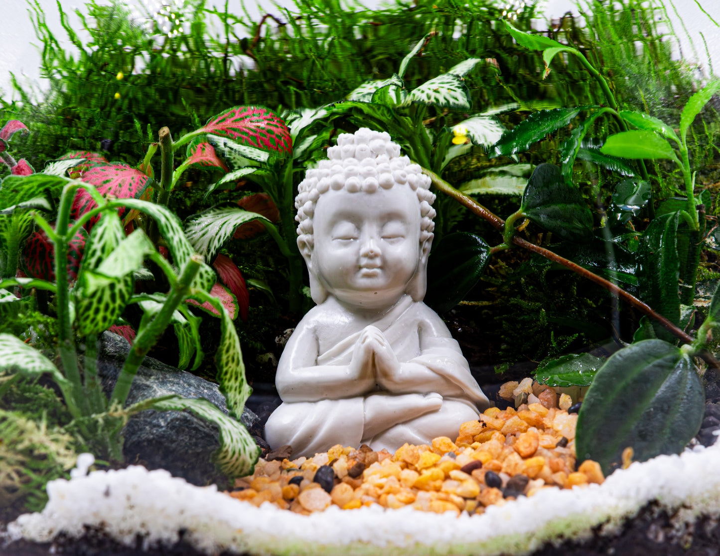 Small Buddha Terrarium- TERRASCAPE | Online Terrarium Shop in DUBAI