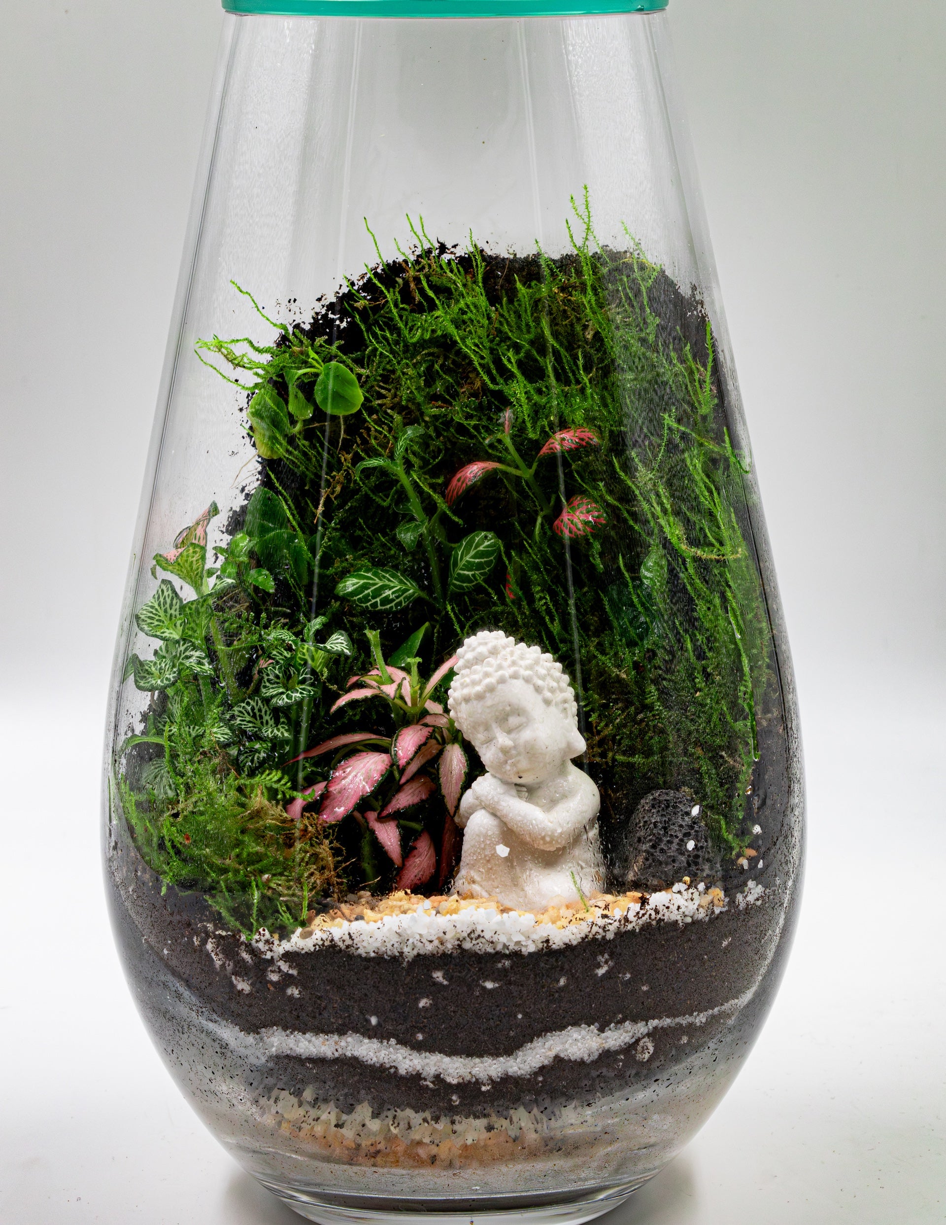 Buddha Bliss Terrarium- TERRASCAPE | Online Terrarium Shop in DUBAI