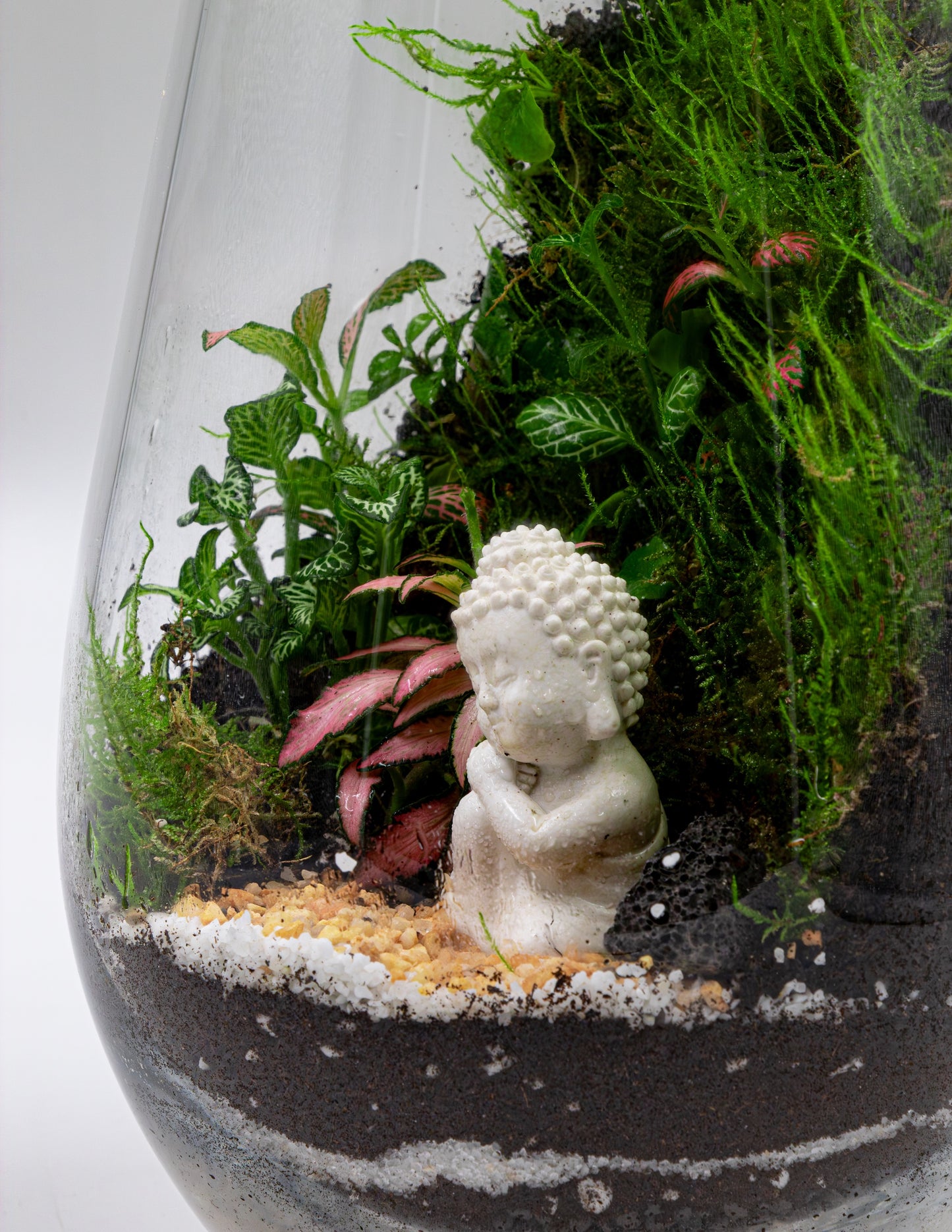Buddha Bliss Terrarium- TERRASCAPE | Online Terrarium Shop in DUBAI