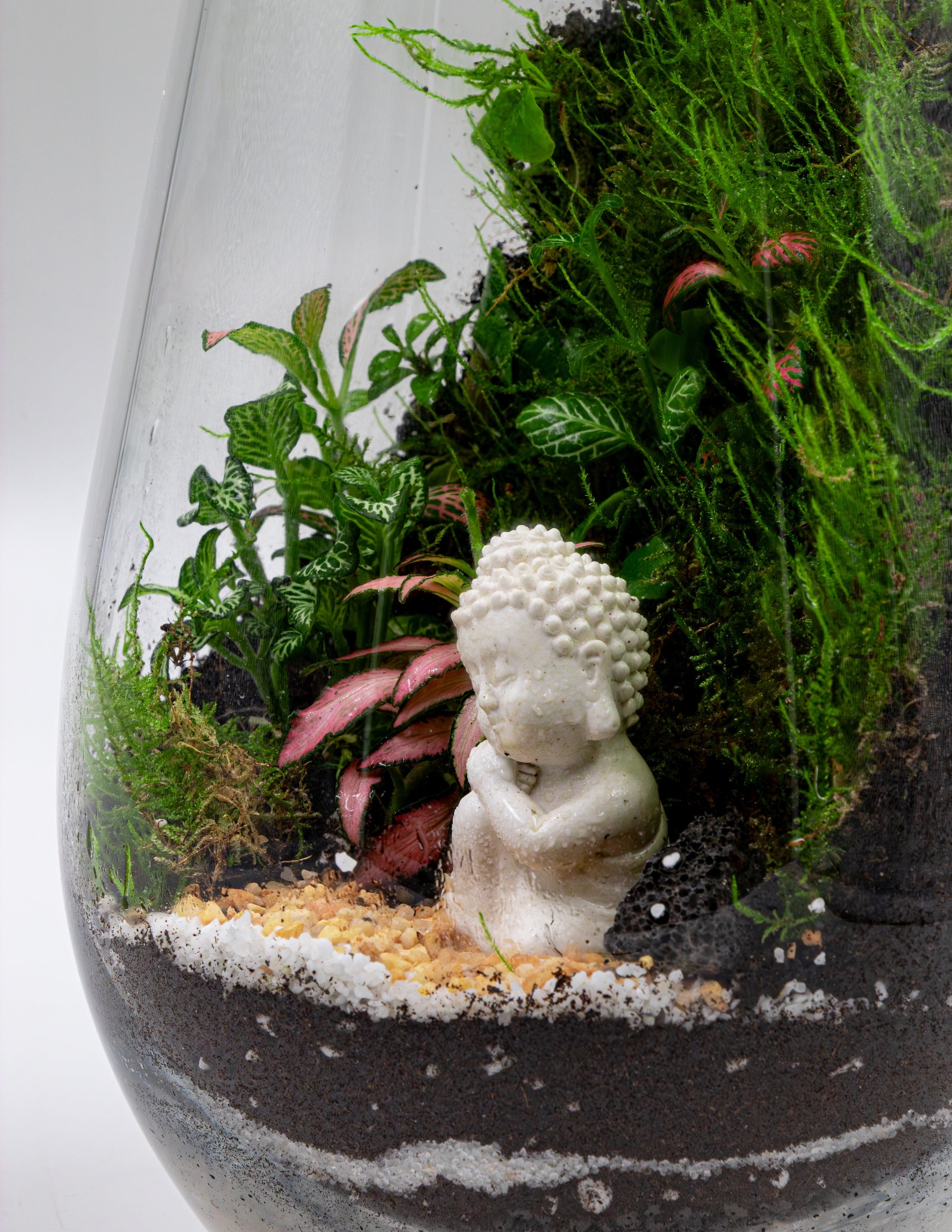 Buddha Bliss Terrarium- TERRASCAPE | Online Terrarium Shop in DUBAI
