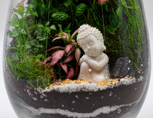 Buddha Bliss Terrarium- TERRASCAPE | Online Terrarium Shop in DUBAI