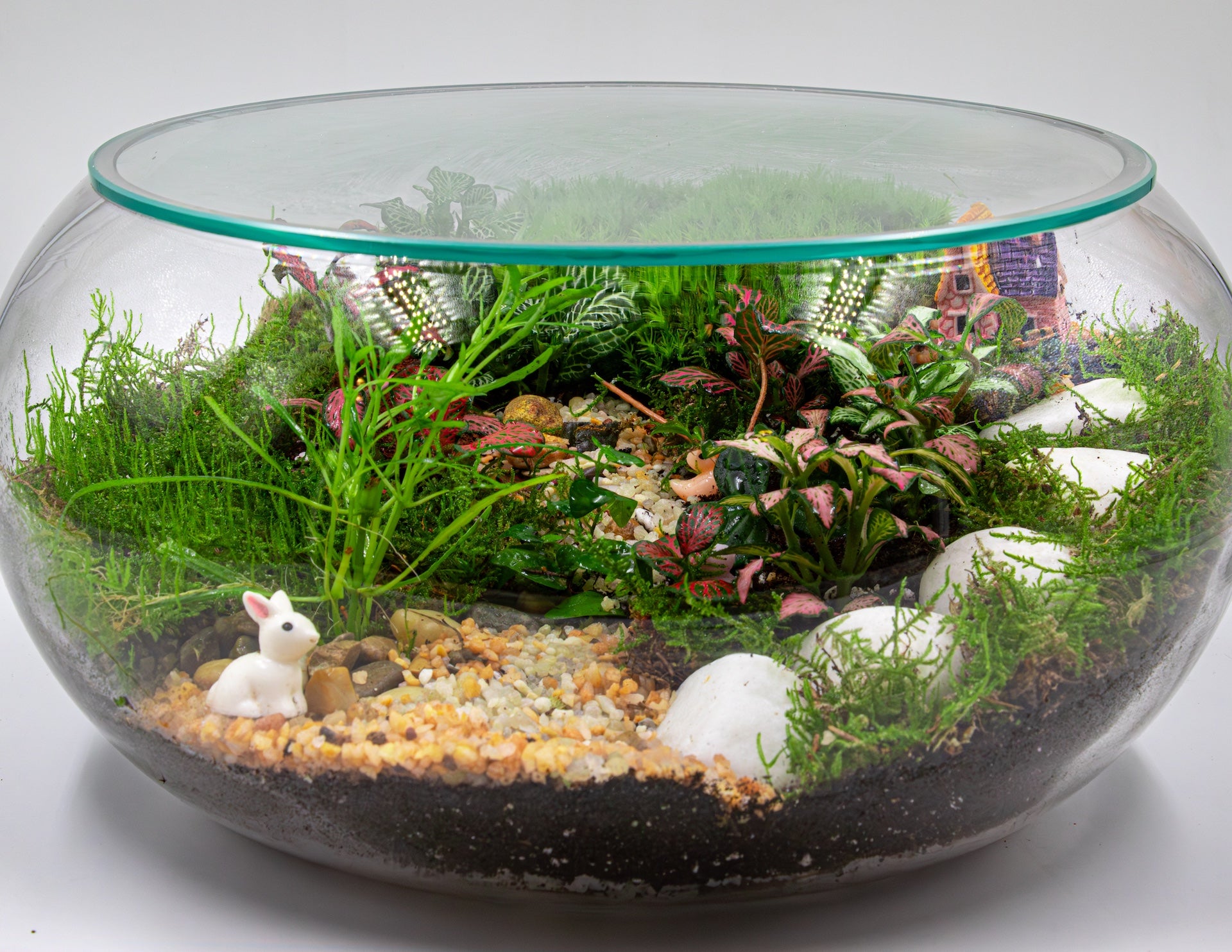 SECRET GARDEN TERRARIUM - TERRASCAPE | Online Terrarium Shop in DUBAI