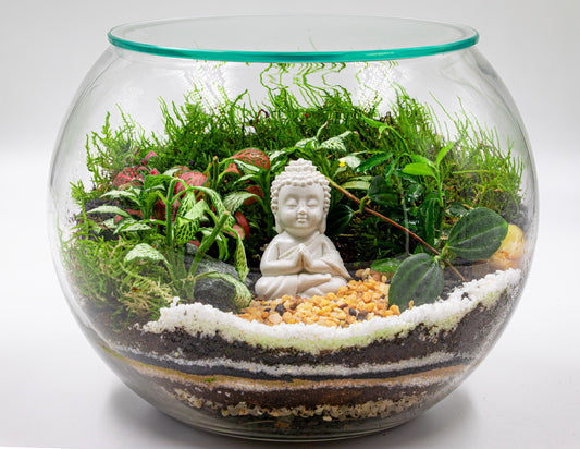 SMALL BUDDHA TERRARIUM- TERRASCAPE | Online Terrarium Shop in DUBAI