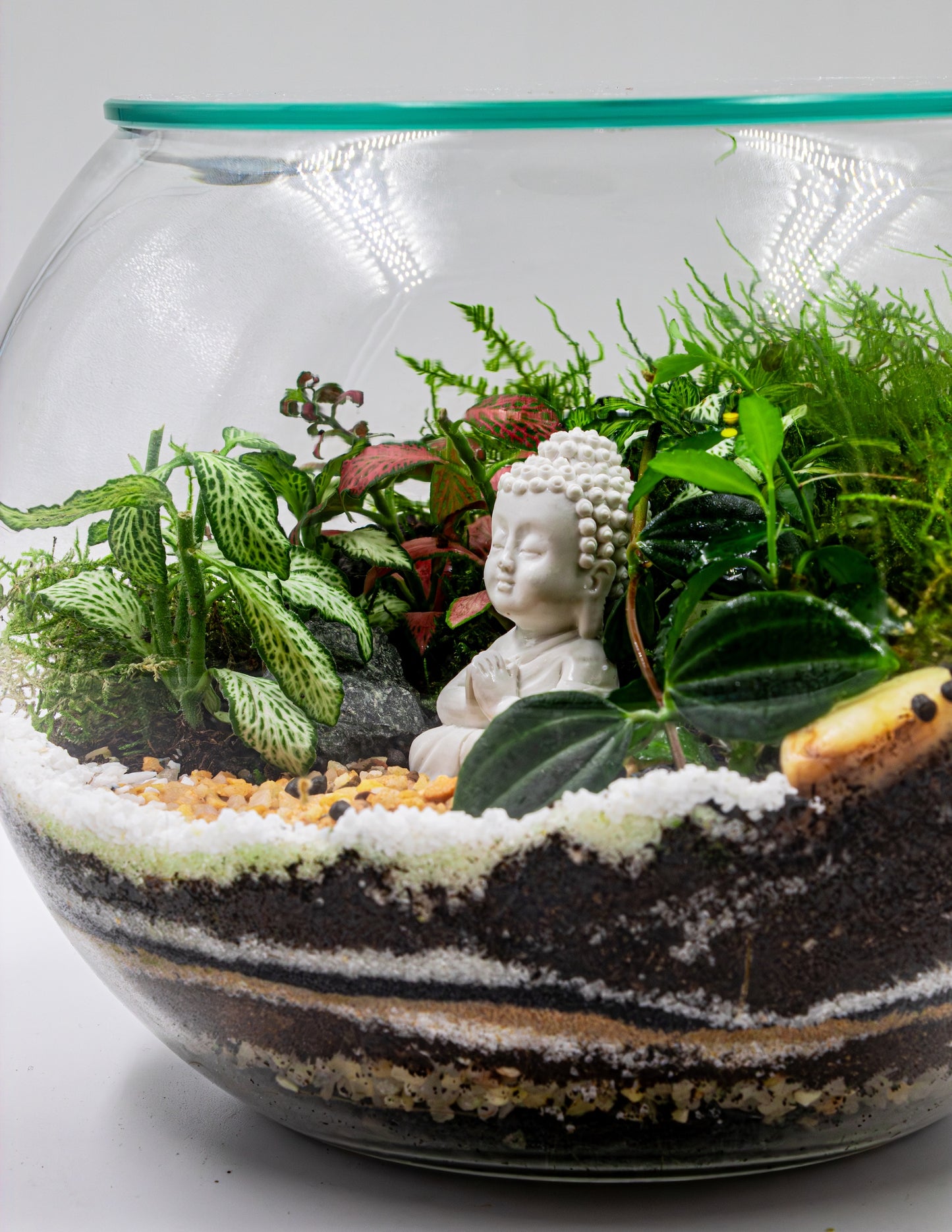 Small Buddha Terrarium - TERRASCAPE | Online Terrarium Shop in DUBAI