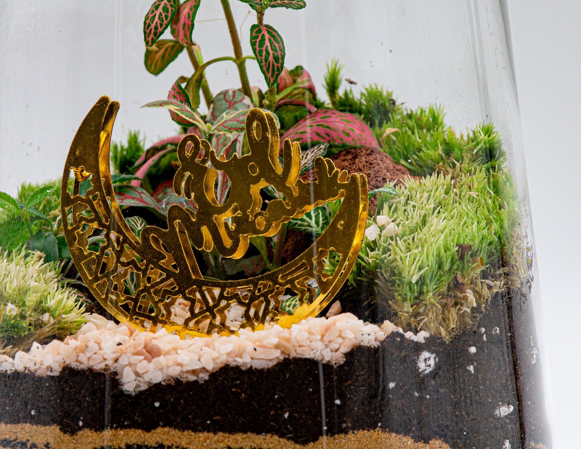 RAMADAN THEME TERRARIUM - TERRASCAPE I Online Terrarium Shop in DUBAI