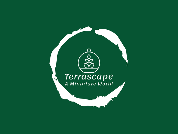 TERRASCAPE I Online Terrarium Shop in DUBAI