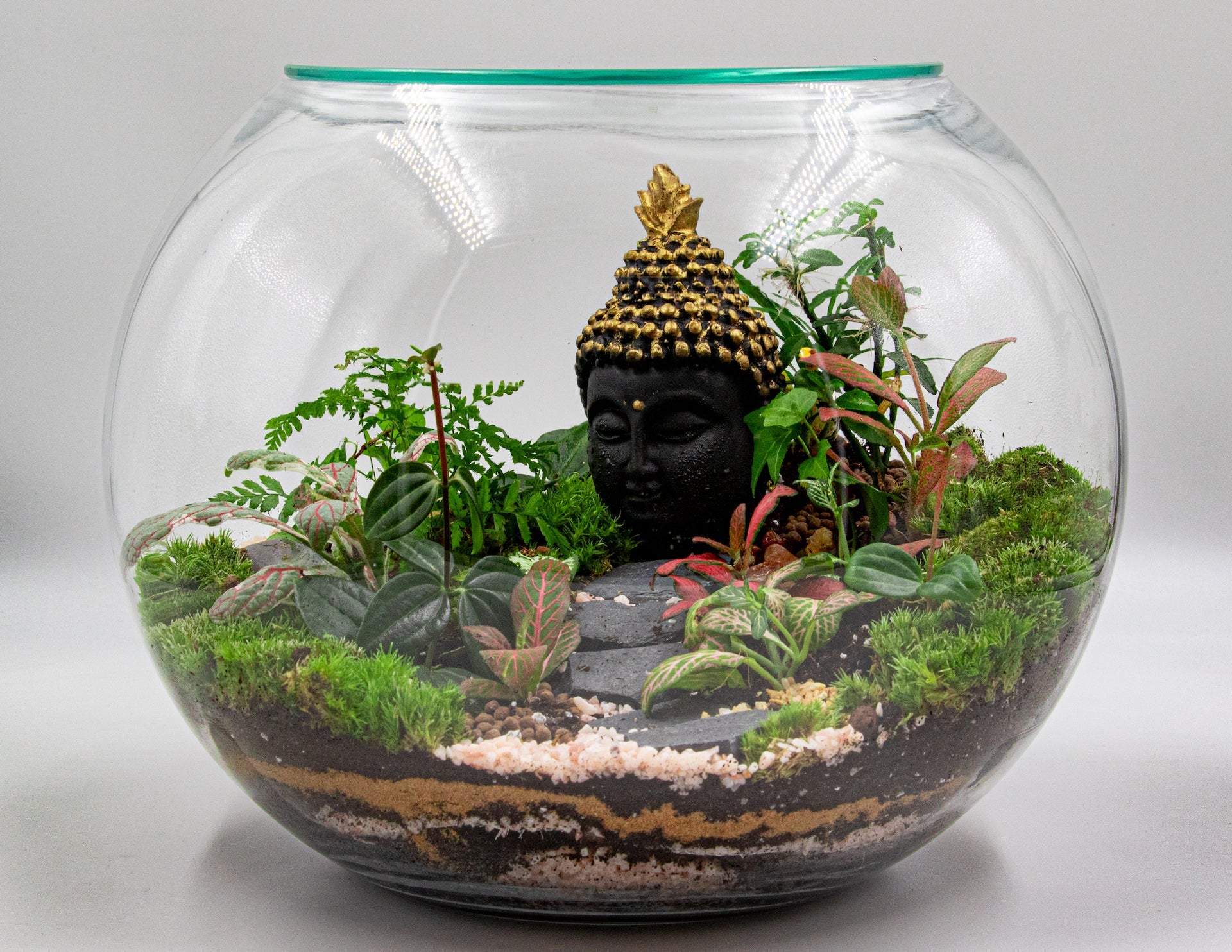 BUDDHA TERRARIUM - TERRASCAPE I Online Terrarium Shop in DUBAI