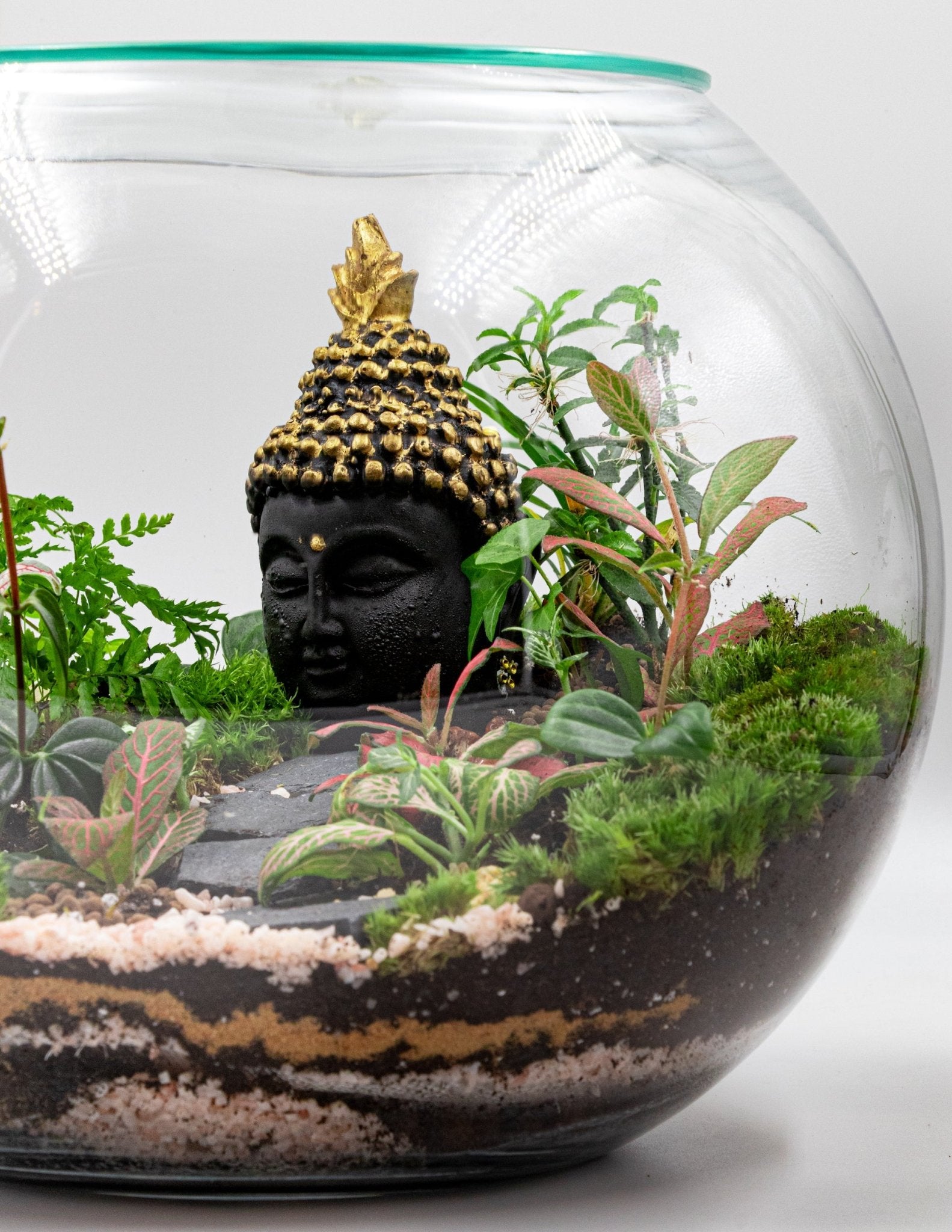 BUDDHA TERRARIUM - TERRASCAPE I Online Terrarium Shop in DUBAI