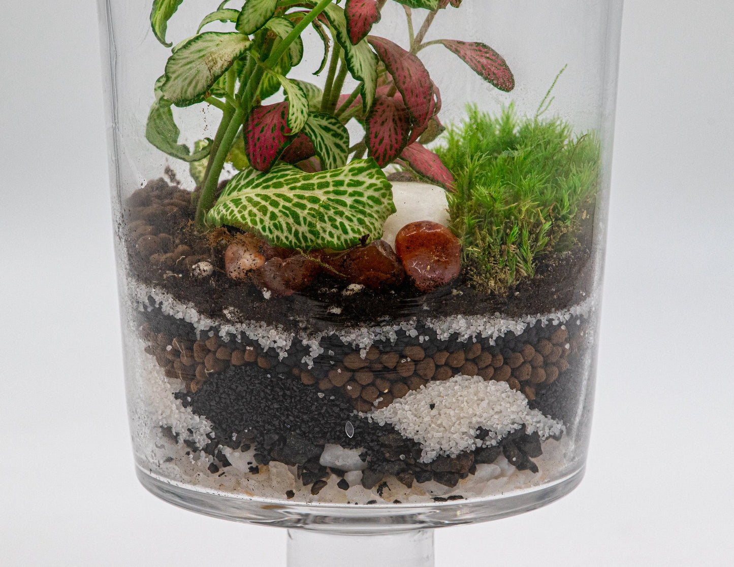 CANDYJAR TERRARIUM - TERRASCAPE I Online Terrarium Shop in DUBAI