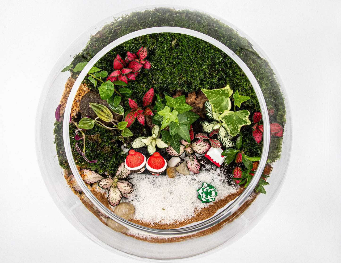 CHRISTMAS TERRARIUM-LARGE - TERRASCAPE I Online Terrarium Shop in DUBAI