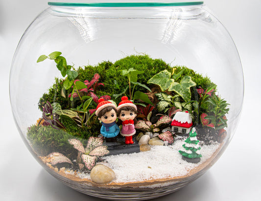 CHRISTMAS TERRARIUM-LARGE - TERRASCAPE I Online Terrarium Shop in DUBAI