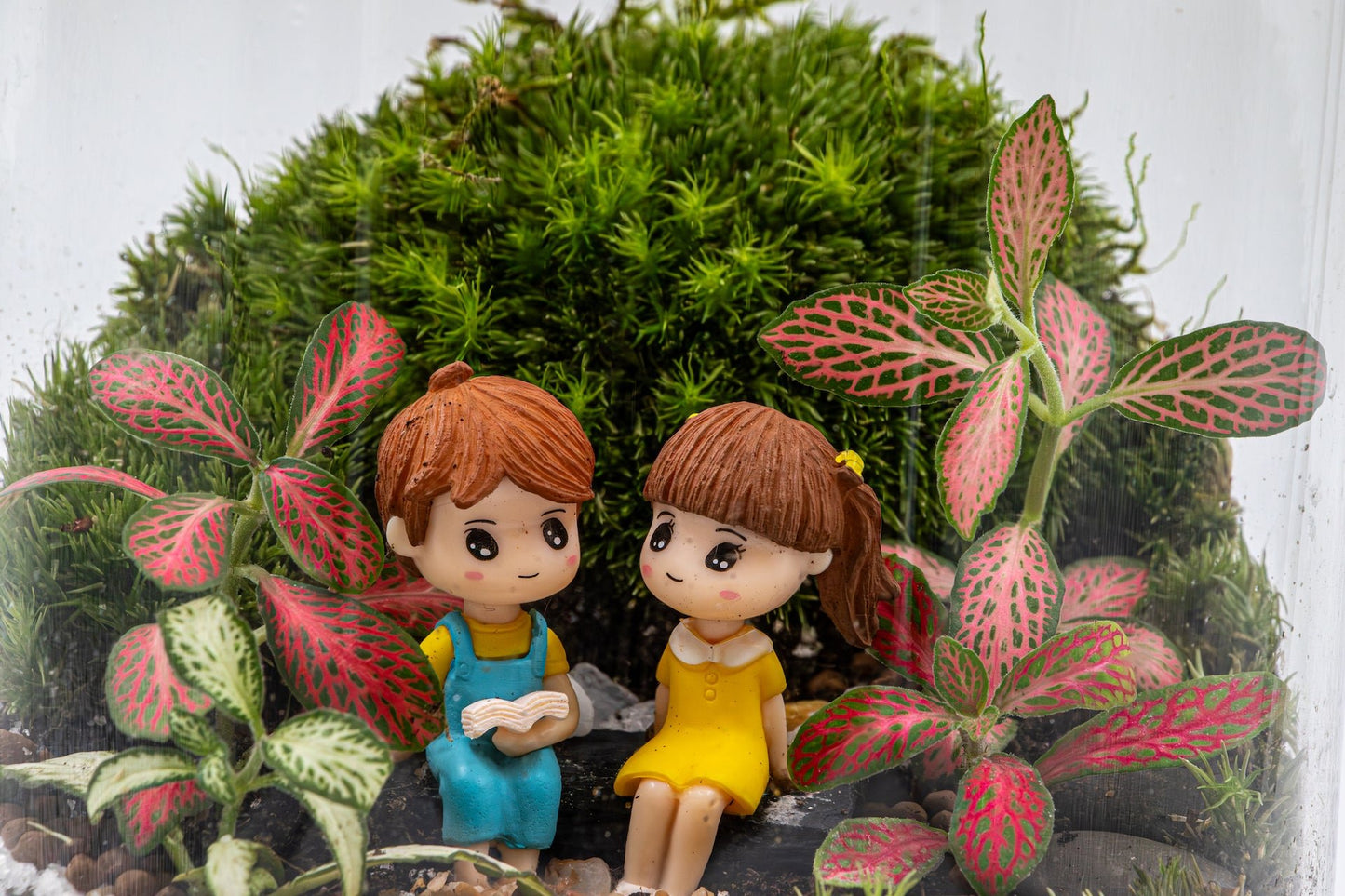 FAIRY GARDEN - TERRASCAPE I Online Terrarium Shop in DUBAI