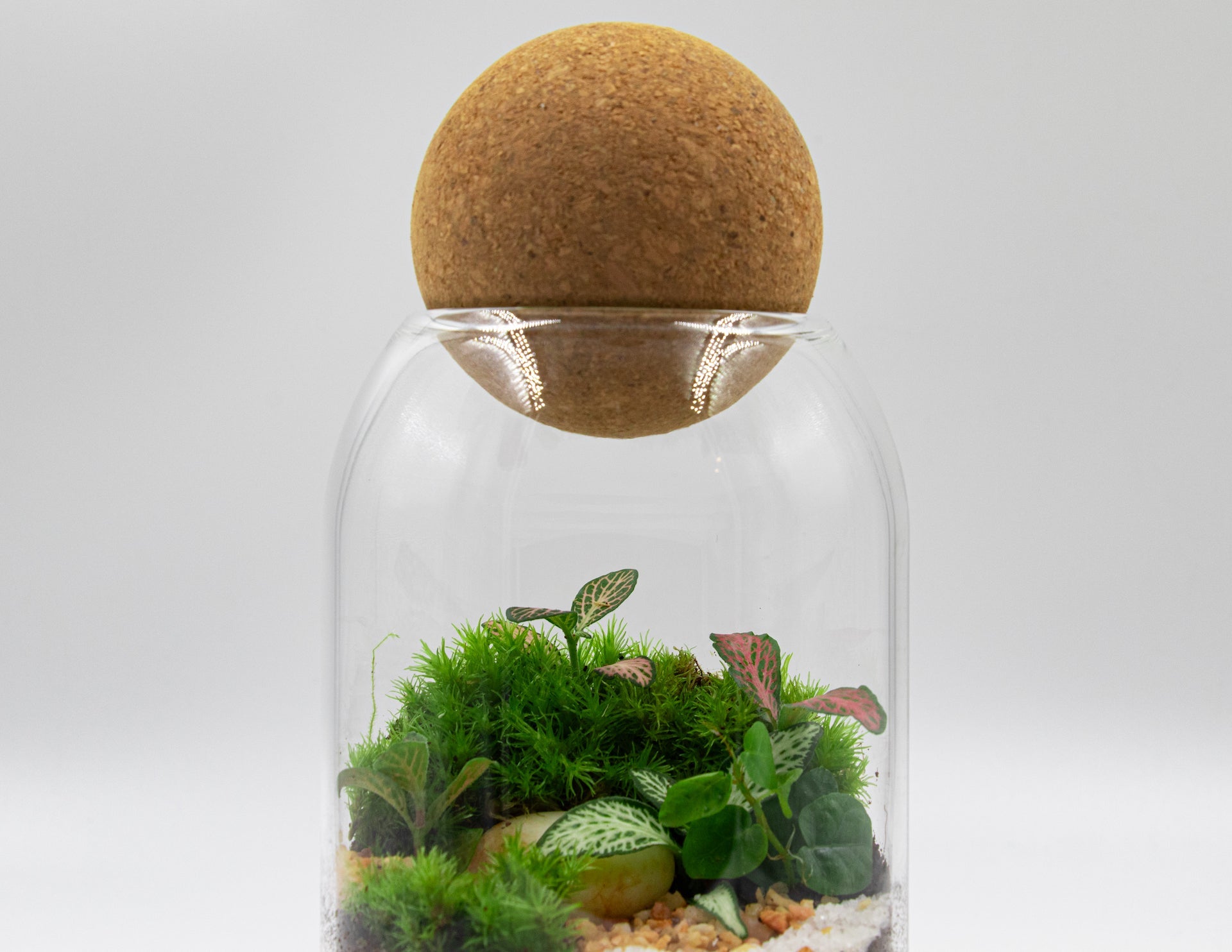 GREEN BOTTLE TERRARIUM-LARGE - TERRASCAPE I Online Terrarium Shop in DUBAI