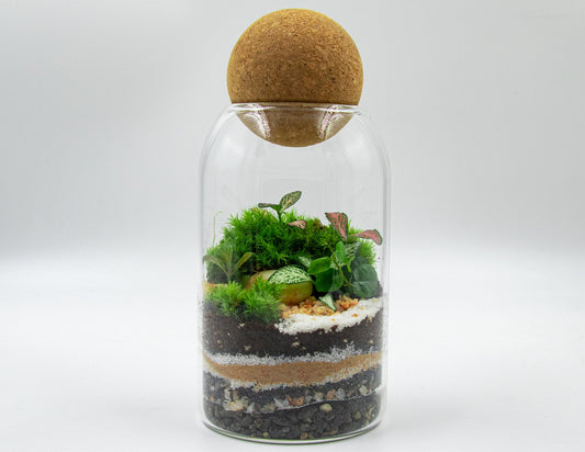 GREEN BOTTLE TERRARIUM-LARGE - TERRASCAPE I Online Terrarium Shop in DUBAI