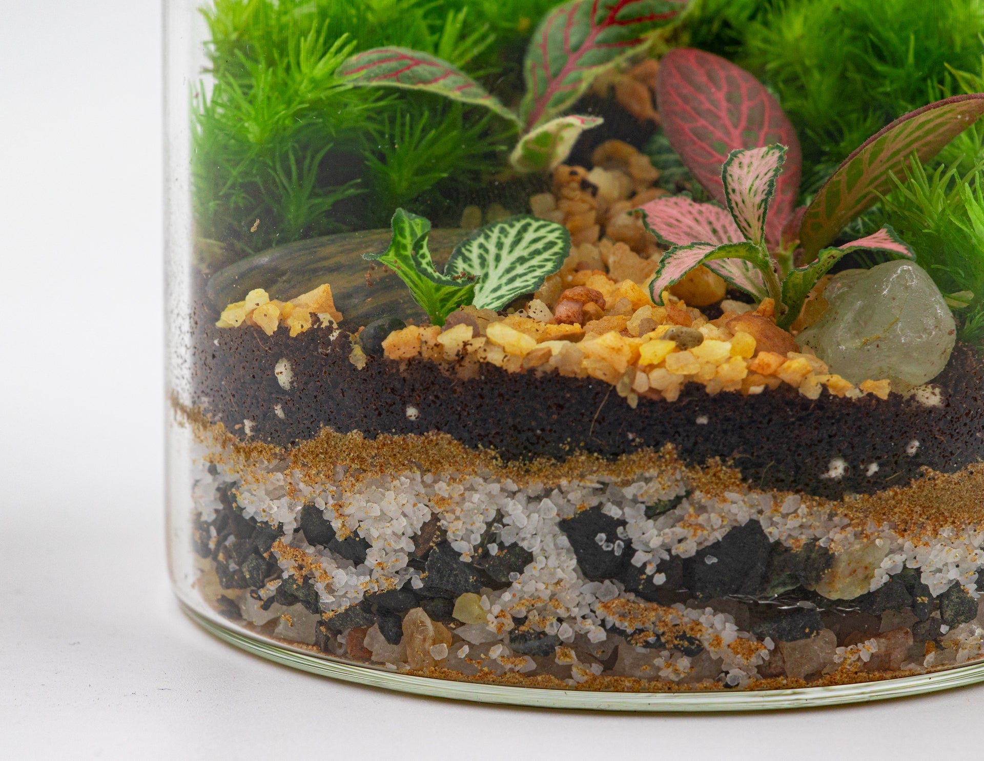 GREEN BOTTLE TERRARIUM-SMALL - TERRASCAPE I Online Terrarium Shop in DUBAI