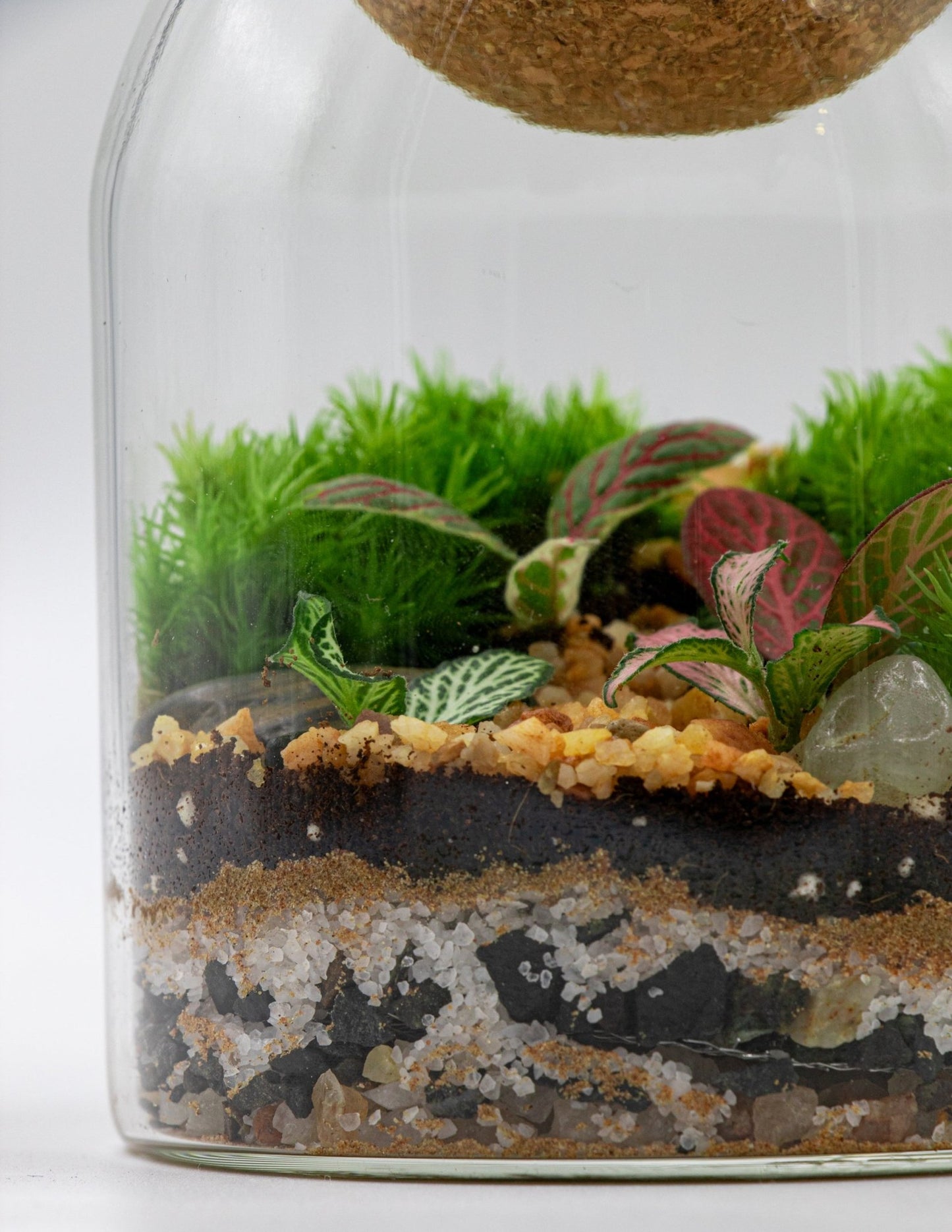 GREEN BOTTLE TERRARIUM-SMALL - TERRASCAPE I Online Terrarium Shop in DUBAI