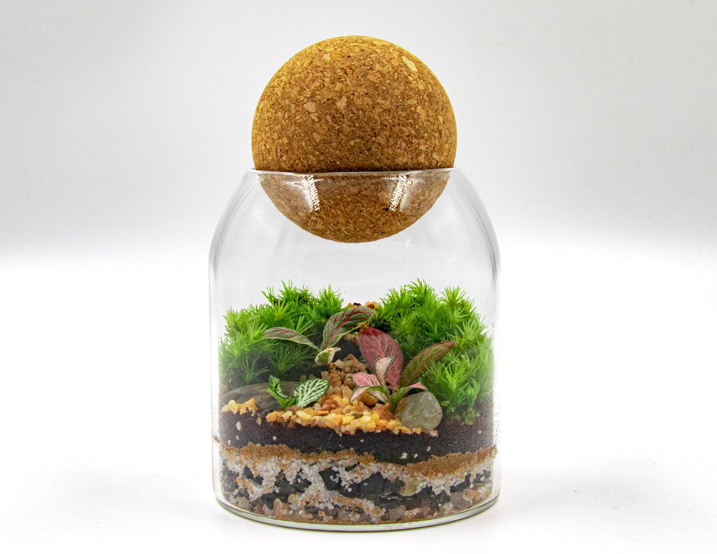 GREEN BOTTLE TERRARIUM-SMALL - TERRASCAPE I Online Terrarium Shop in DUBAI