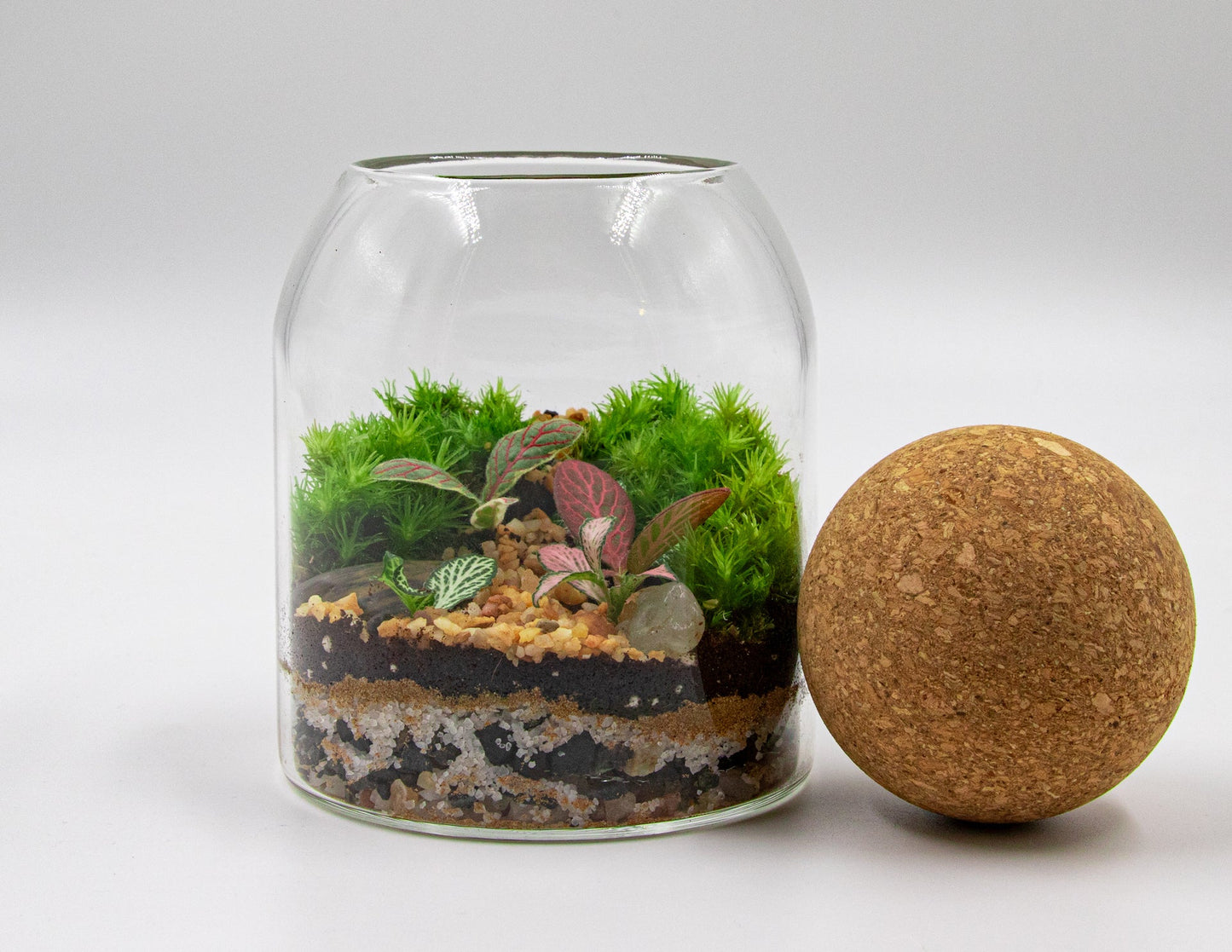 GREEN BOTTLE TERRARIUM-SMALL - TERRASCAPE I Online Terrarium Shop in DUBAI