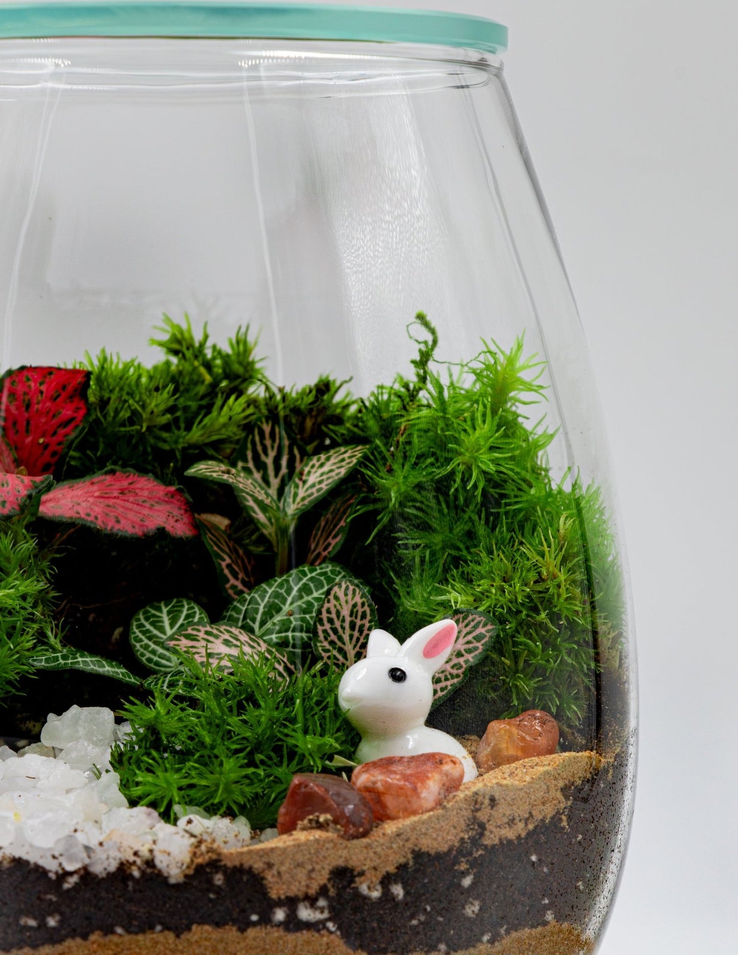 MINI GARDEN TERRARIUM - TERRASCAPE I Online Terrarium Shop in DUBAI