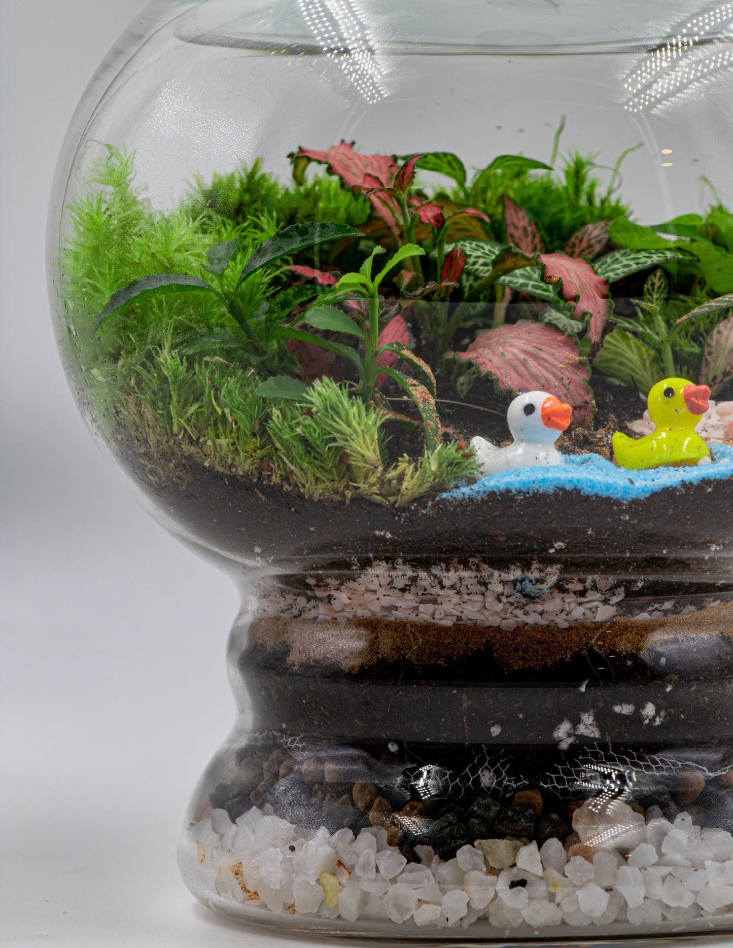 MINI GARDEN TERRARIUM - TERRASCAPE I Online Terrarium Shop in DUBAI