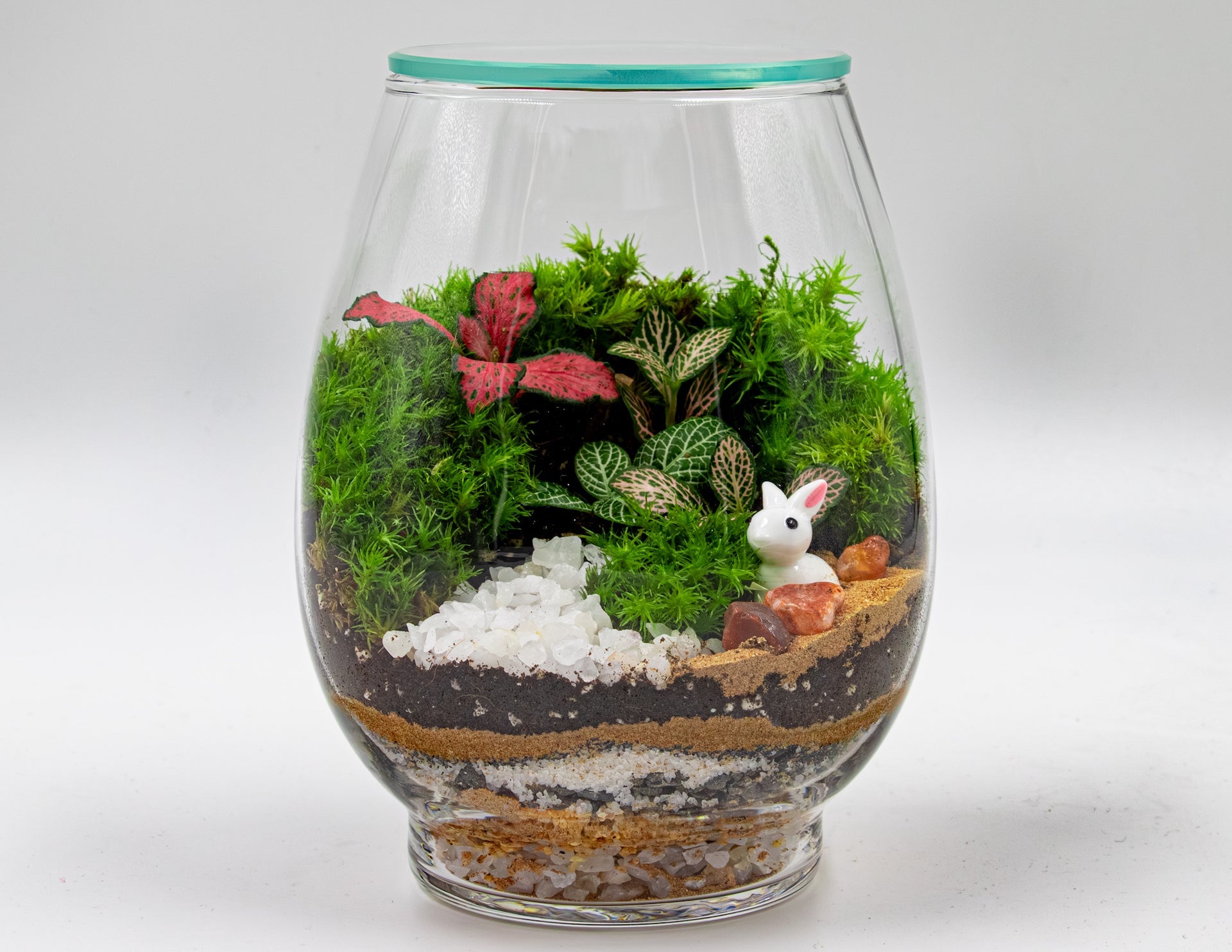 MINI GARDEN TERRARIUM - TERRASCAPE I Online Terrarium Shop in DUBAI