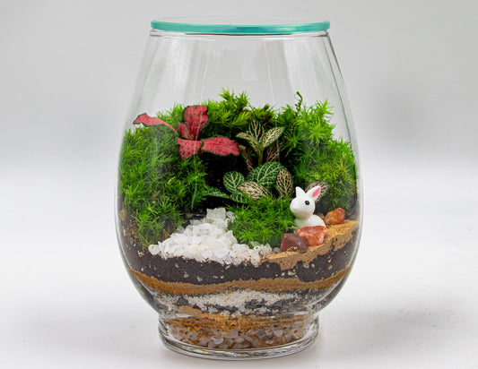 MINI GARDEN TERRARIUM - TERRASCAPE I Online Terrarium Shop in DUBAI