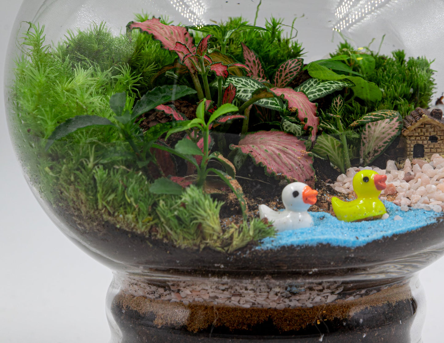 MINI GARDEN TERRARIUM - TERRASCAPE I Online Terrarium Shop in DUBAI