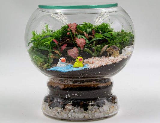 MINI GARDEN TERRARIUM - TERRASCAPE I Online Terrarium Shop in DUBAI