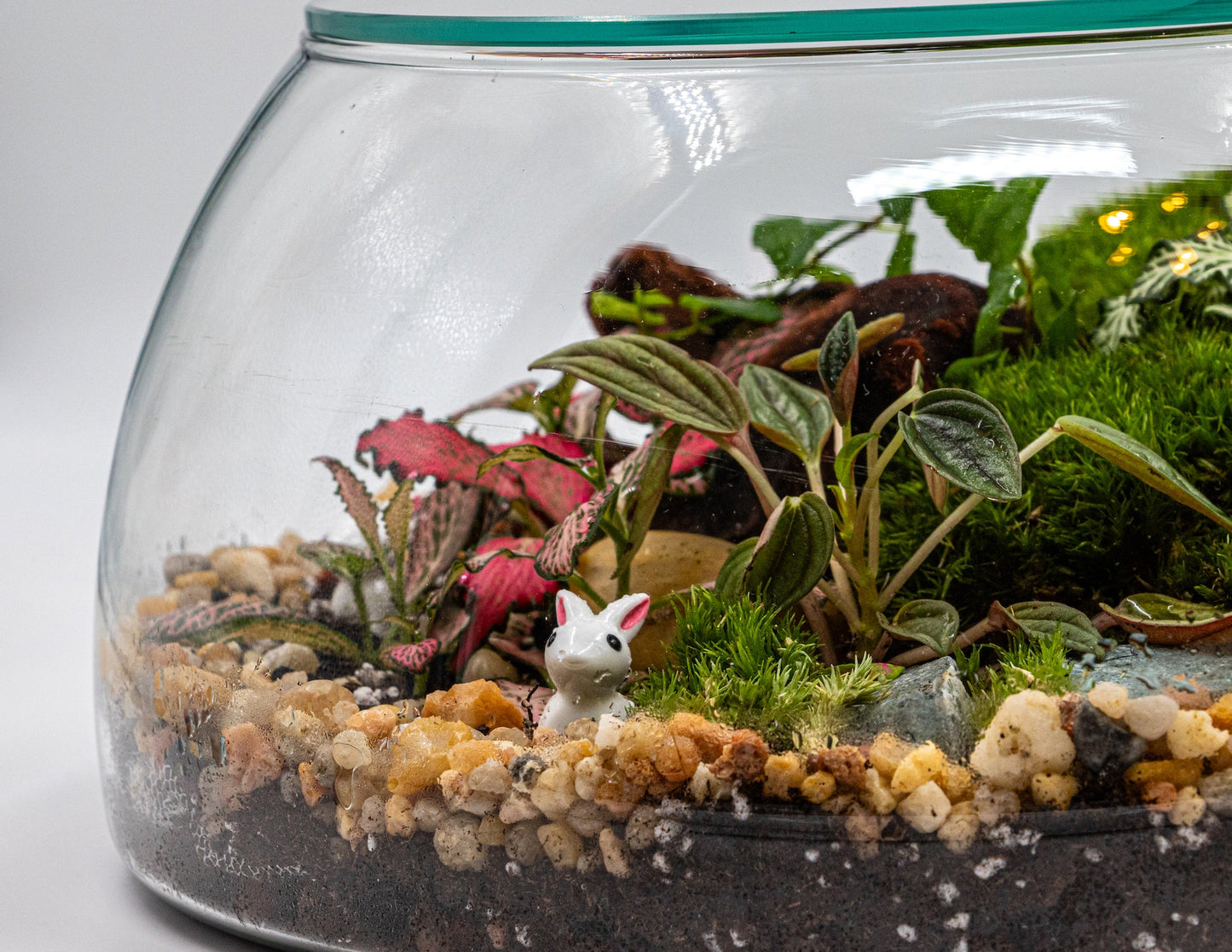 MYSTIC TERRARIUM - TERRASCAPE I Online Terrarium Shop in DUBAI