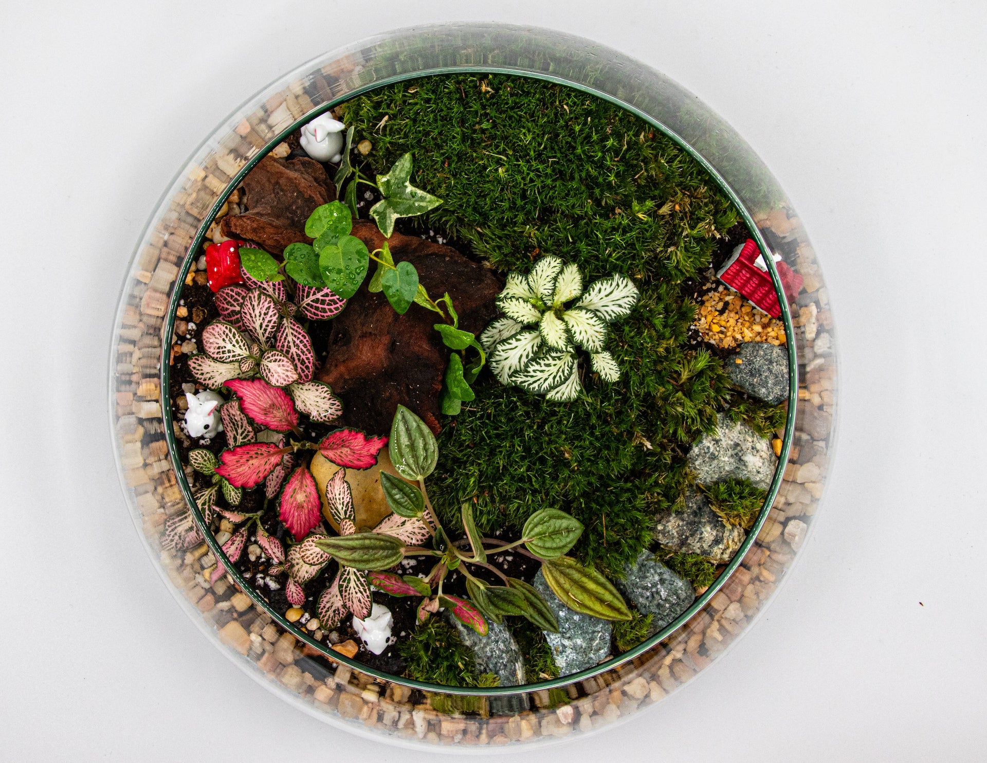 MYSTIC TERRARIUM - TERRASCAPE I Online Terrarium Shop in DUBAI