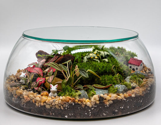 MYSTIC TERRARIUM - TERRASCAPE I Online Terrarium Shop in DUBAI