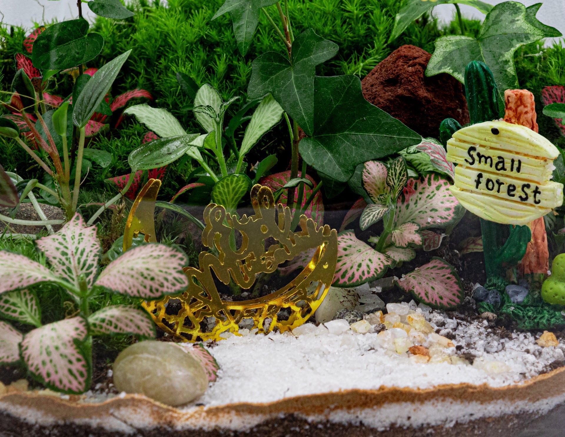 RAMADAN THEME TERRARIUM - TERRASCAPE I Online Terrarium Shop in DUBAI