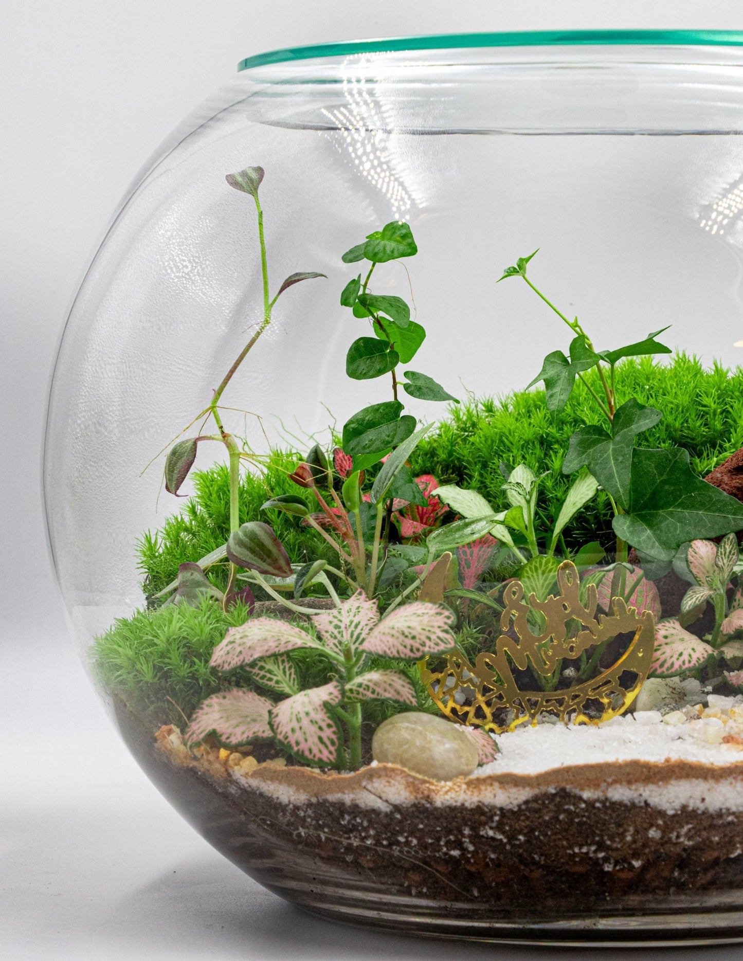 RAMADAN THEME TERRARIUM - TERRASCAPE I Online Terrarium Shop in DUBAI