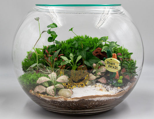 RAMADAN THEME TERRARIUM - TERRASCAPE I Online Terrarium Shop in DUBAI