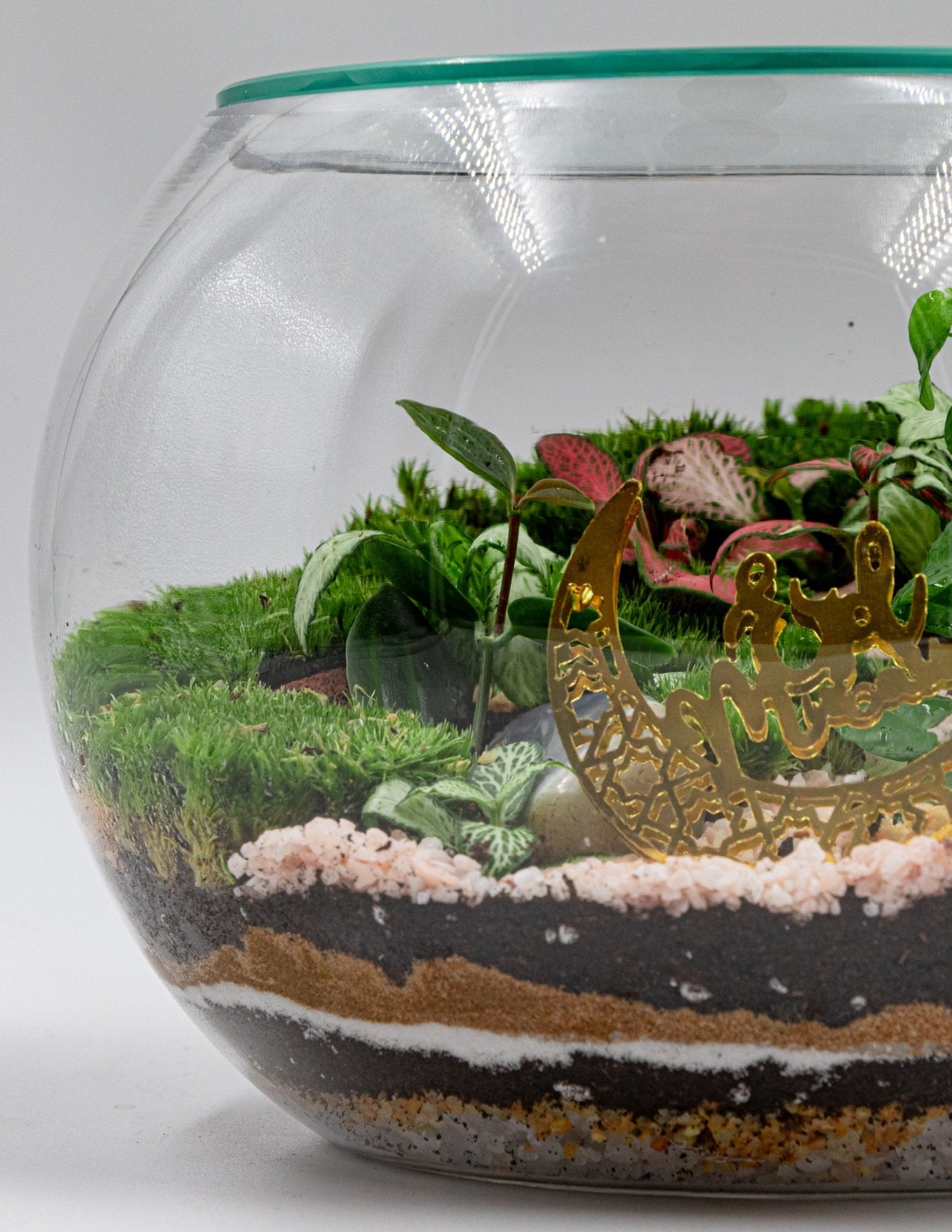 RAMADAN THEMED TERRARIUM - TERRASCAPE I Online Terrarium Shop in DUBAI