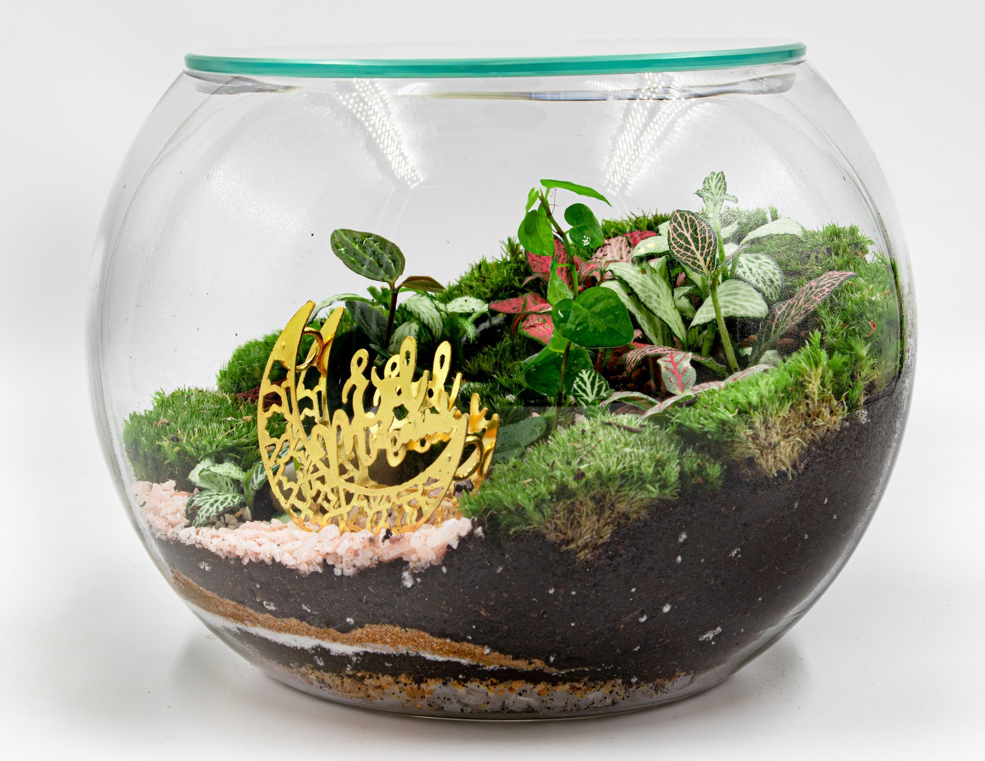 RAMADAN THEMED TERRARIUM - TERRASCAPE I Online Terrarium Shop in DUBAI