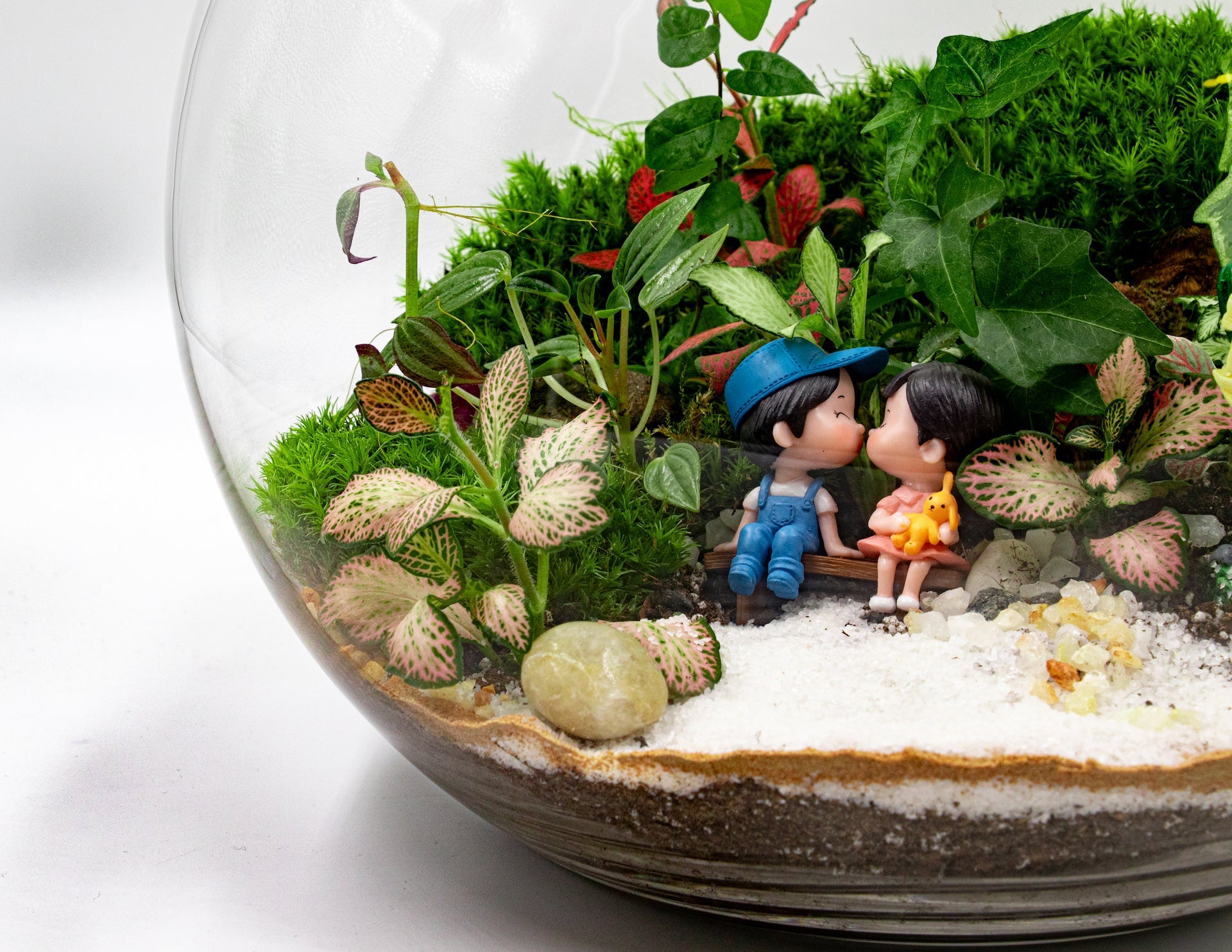 VALENTINE'S DAY TERRARIUM - TERRASCAPE I Online Terrarium Shop in DUBAI