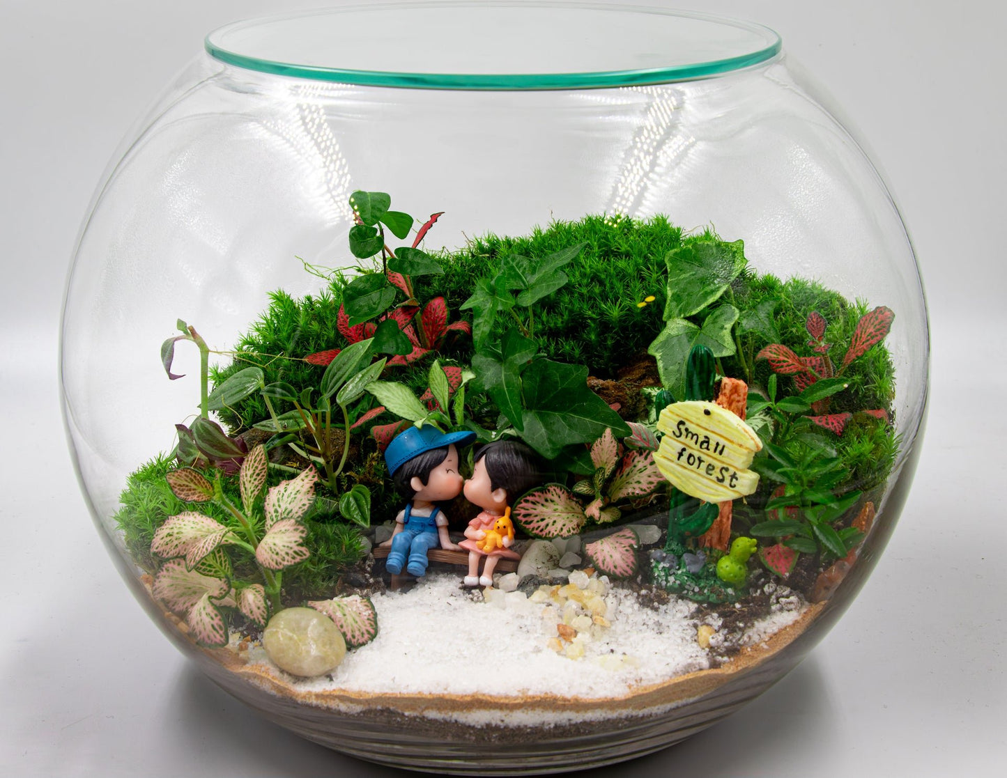 VALENTINE'S DAY TERRARIUM - TERRASCAPE I Online Terrarium Shop in DUBAI