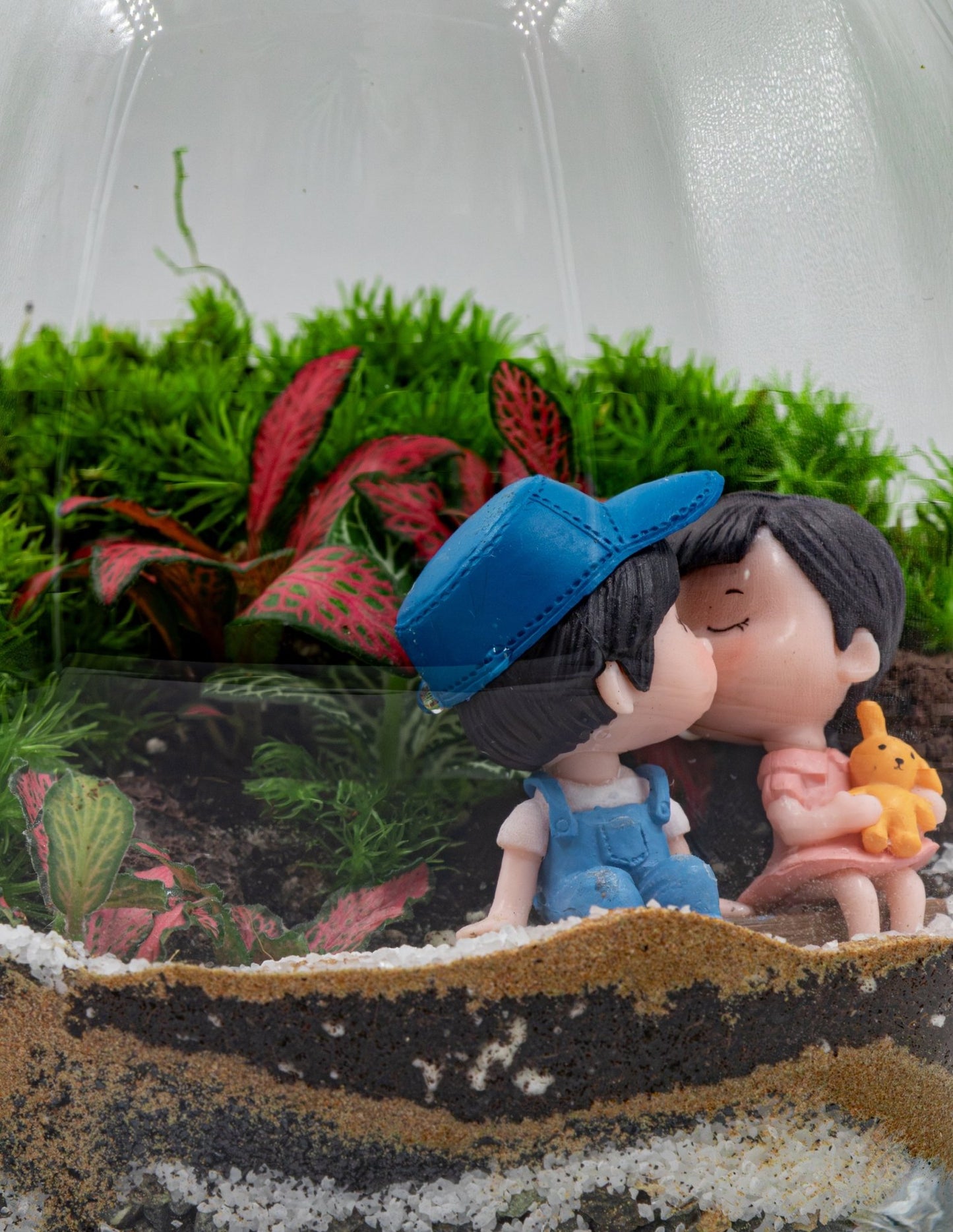 VALENTINE'S DAY TERRARIUM -SMALL - TERRASCAPE I Online Terrarium Shop in DUBAI